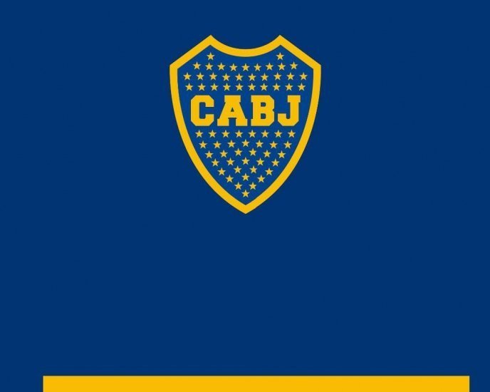 Boca aprobó el presupuesto 2019